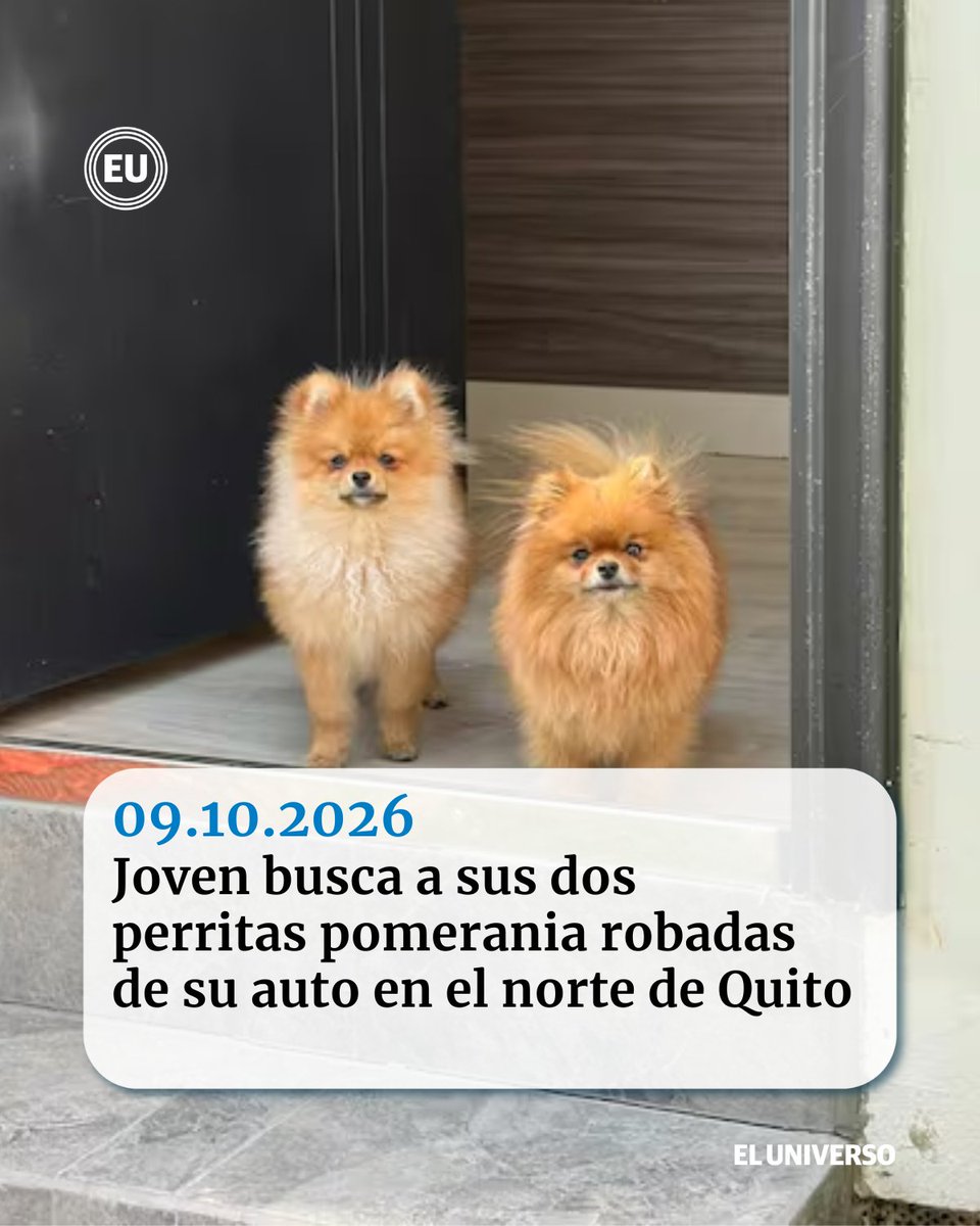 eluniversocom tweet picture