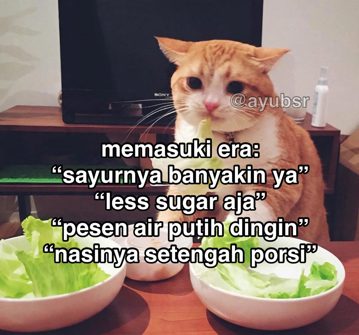 ayubsr's tweet photo. https://t.co/pLpT4SdFOC
