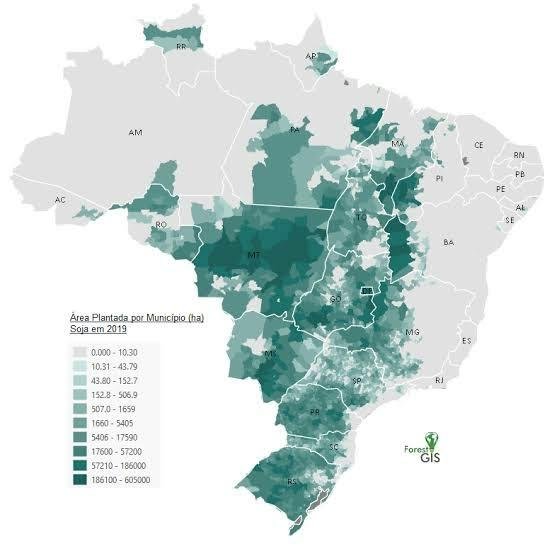 _BrasilPopular's tweet photo. Mapa de votos X Mapa da soja

o agro é tóxico 🚨 https://t.co/aJxSfL73MV