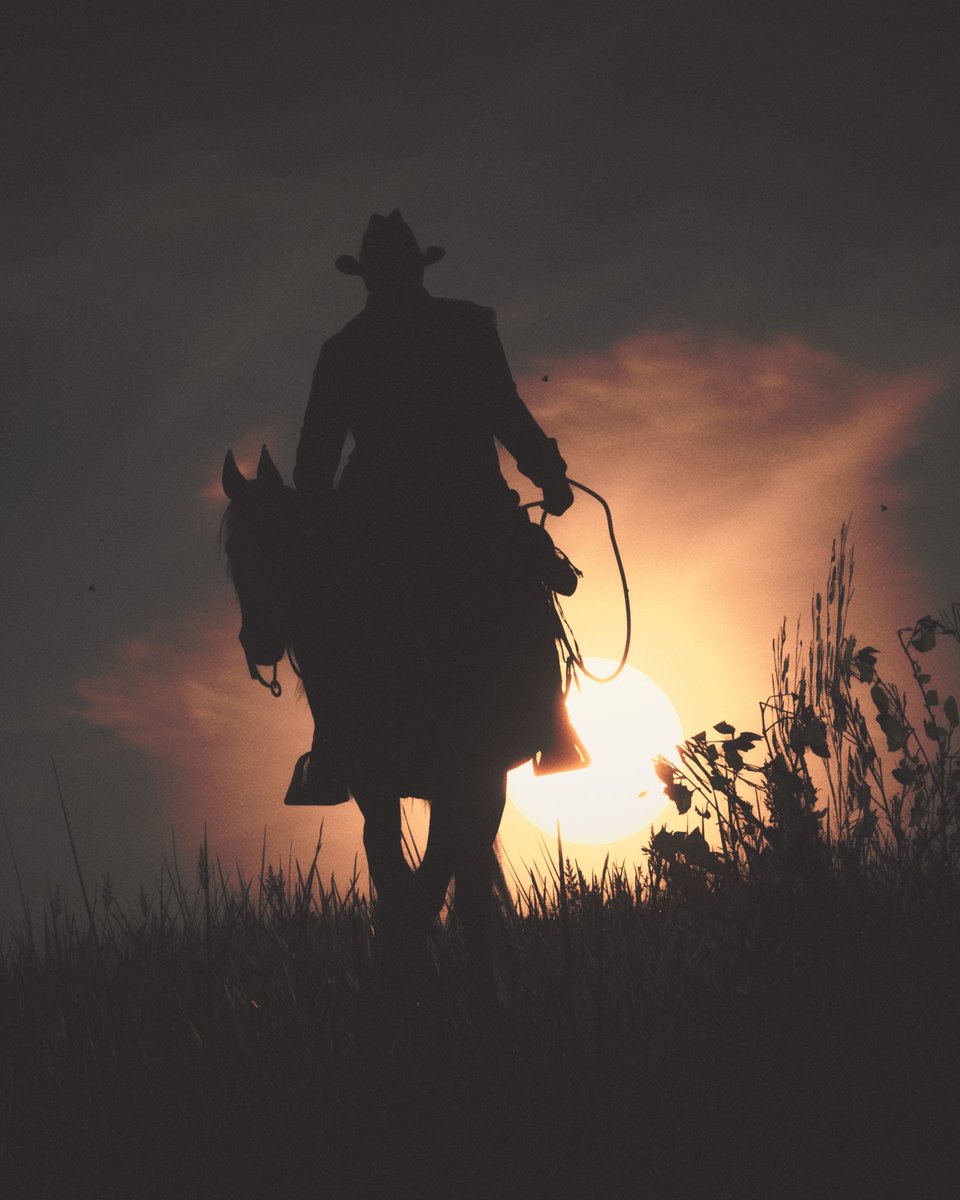 pandinovic's tweet photo. #RedDeadRedemption2 https://t.co/1Bz48goUIu