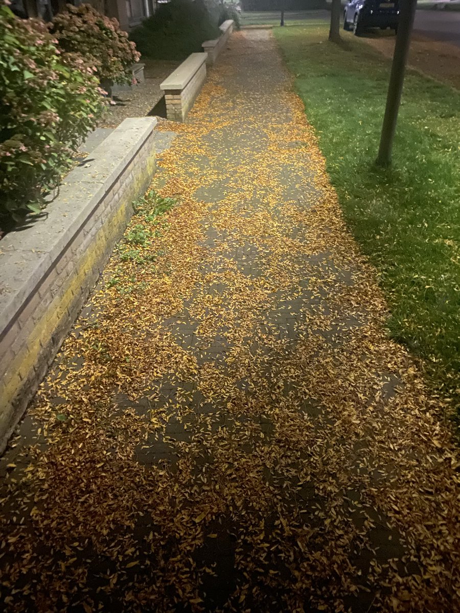Reni7770's tweet photo. Love it when the autumn vibes begin https://t.co/giYVp2cFJQ