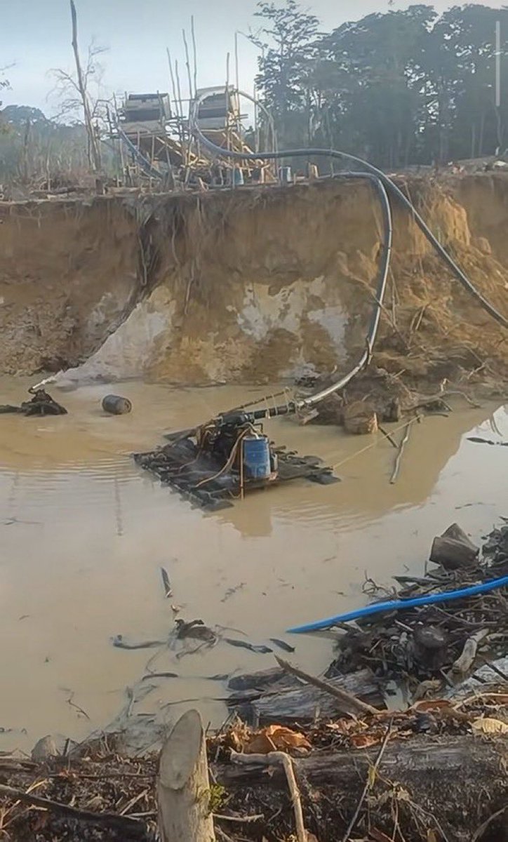 cheo070777's tweet photo. ...y mientras tanto al #SurDelOrinoco 

Continúa la devastación de los bosques ribereños del río Cuyuní con total impunidad ! 

Economías ilícitas siguen tutelando la destrucción del sur del país por un #OroDeSangre 

📸 Mina Platanillar #ElDorado #edoBolivar #Venezuela https://t.co/HG4AX381Ya