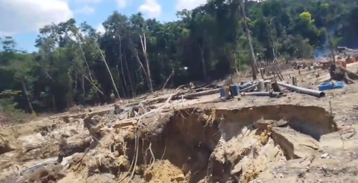 cheo070777's tweet photo. ...y mientras tanto al #SurDelOrinoco 

Continúa la devastación de los bosques ribereños del río Cuyuní con total impunidad ! 

Economías ilícitas siguen tutelando la destrucción del sur del país por un #OroDeSangre 

📸 Mina Platanillar #ElDorado #edoBolivar #Venezuela https://t.co/HG4AX381Ya