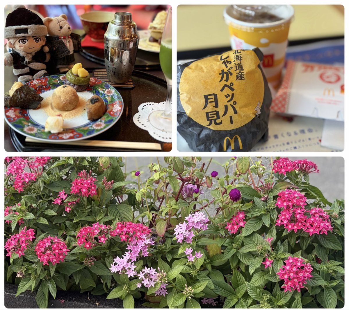 s_nkikk1991's tweet photo. 木村くん最高に楽しかったよ❤️
友だちと会って連日ほかほか報告会
嬉しい楽しい美味しい時間を過ごせました♪

秋の空気が気持ち良いですね
三連休 お出かけの方も多いかな
良き日になりますよう
#私の_世界に一つだけの花 
#SMAP https://t.co/AmEPLNjagy