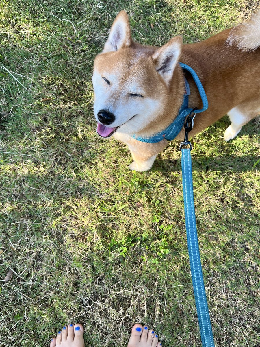 hominhoming's tweet photo. #Earthing https://t.co/BNG6dWehud