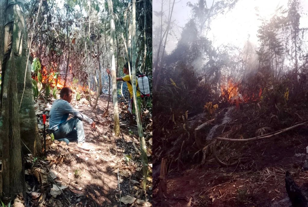 actualidadspda's tweet photo. 🚨Junín: emergencia por incendio forestal en comunidad asháninka afecta 350 hectáreas.
https://t.co/hBFjjP8Q9j https://t.co/t1wkL4tvGu