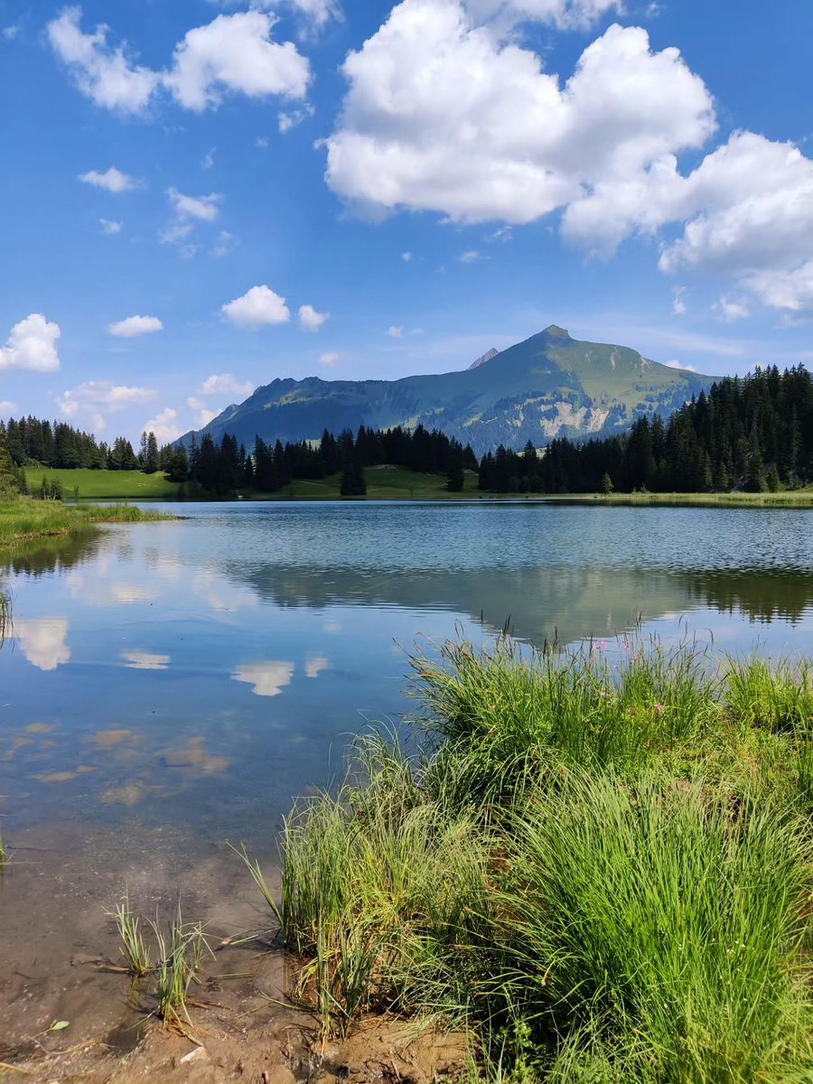 annykarolinnyss's tweet photo. Lauenensee. https://t.co/wEznn2LXGv