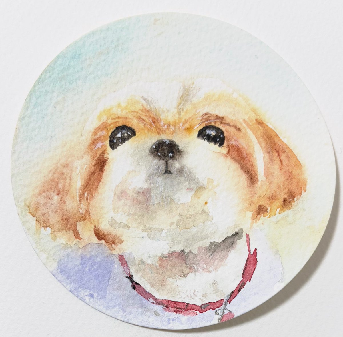sizumaru_art's tweet photo. この2つは同じ写真からアートクレヨンと水彩で描いたものですが、改めて見比べると...

シーズーはとにかくかわいい！😍

という結論しかなかった😅 https://t.co/bmlKFtuhtB