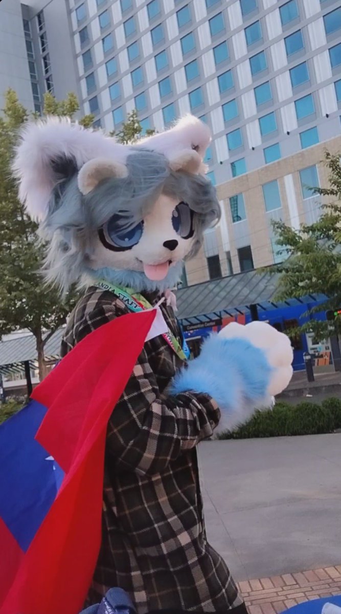 mero_jcg's tweet photo. 生日快樂，中華民國🇹🇼
祝各位國慶節快樂！！！
🇭🇰🇹🇼🇺🇲
Happy R.O.C National Day!
#FursuitFriday  #Furlandia2026 https://t.co/A2hS2PezAK