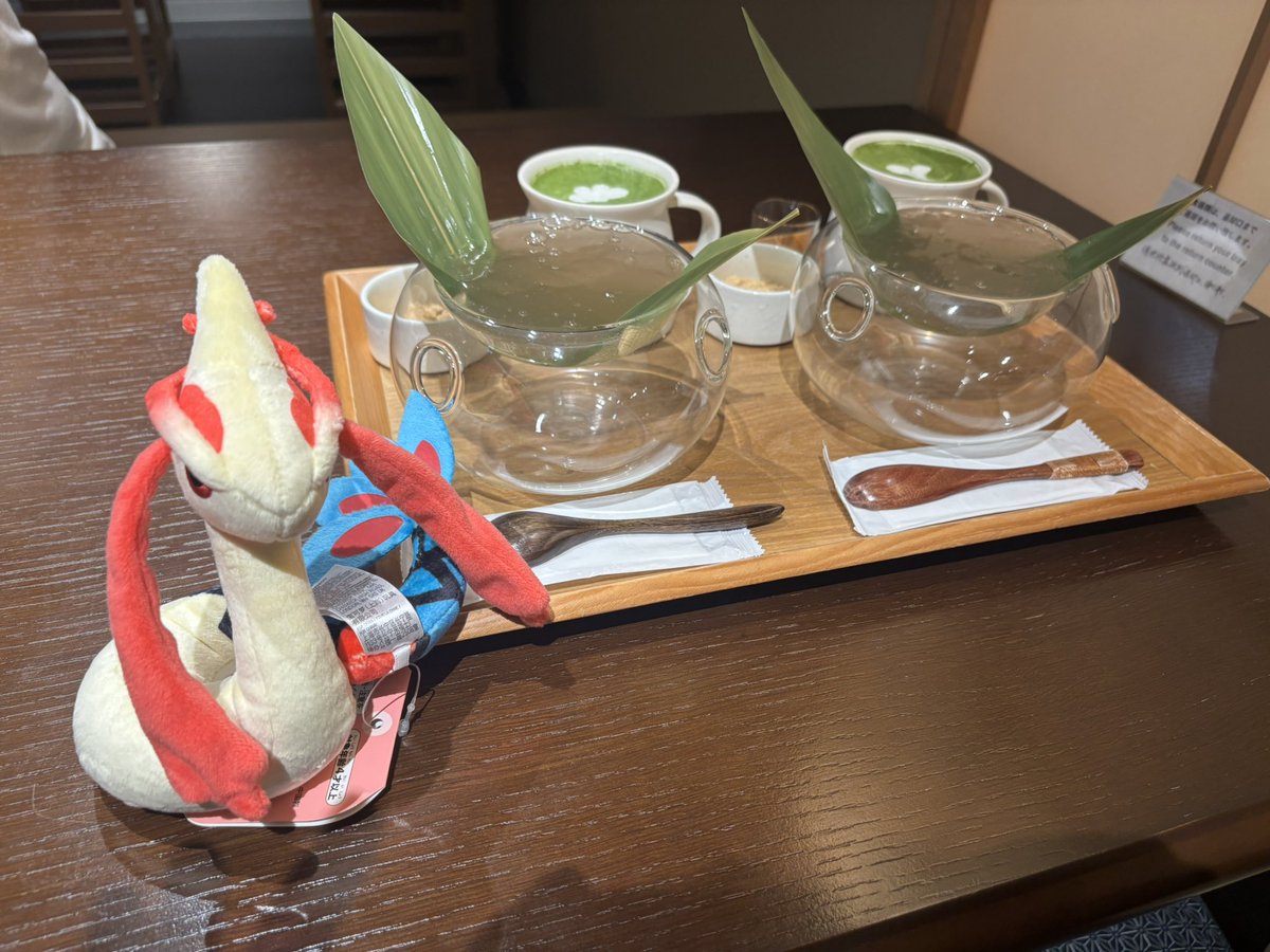 haruto_pokecard's tweet photo. 娘のお目当てのわらびもち✨
笹屋昌園「極」
#LPPU
#LPPUポケぬい
#笹屋昌園 https://t.co/yjGIt0msvw