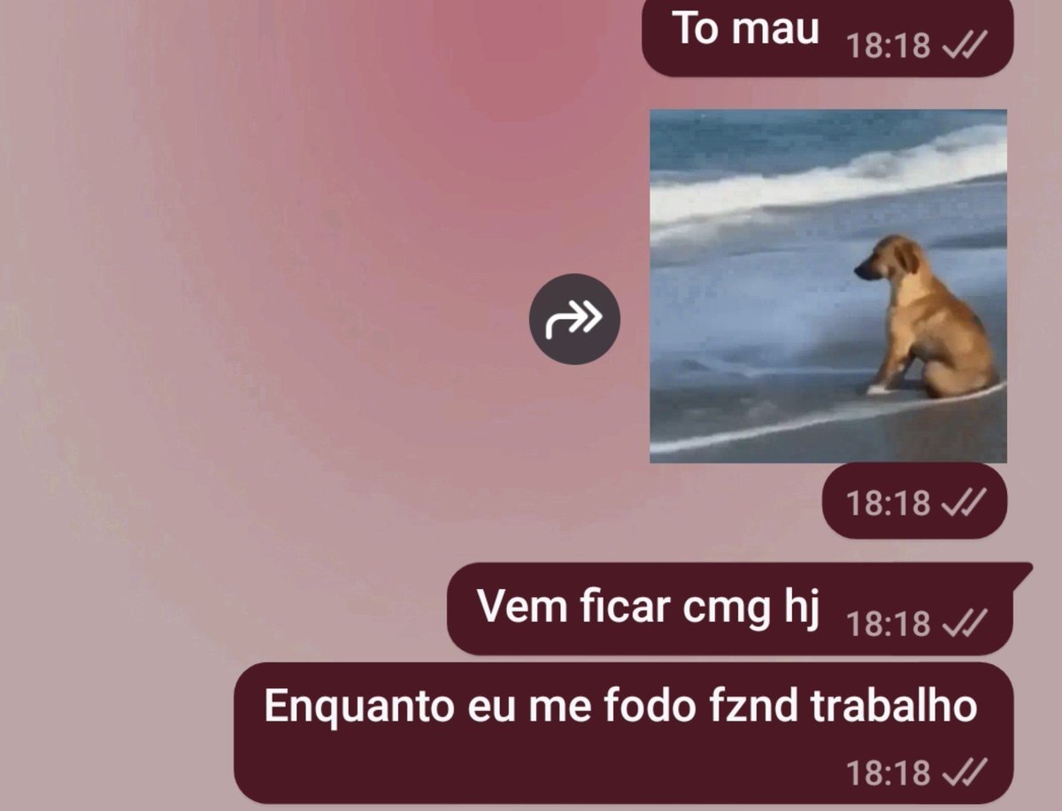 Gabibi070's tweet photo. Mulheres vamos aprender pra que servem os homens https://t.co/CuRTk5vVzD
