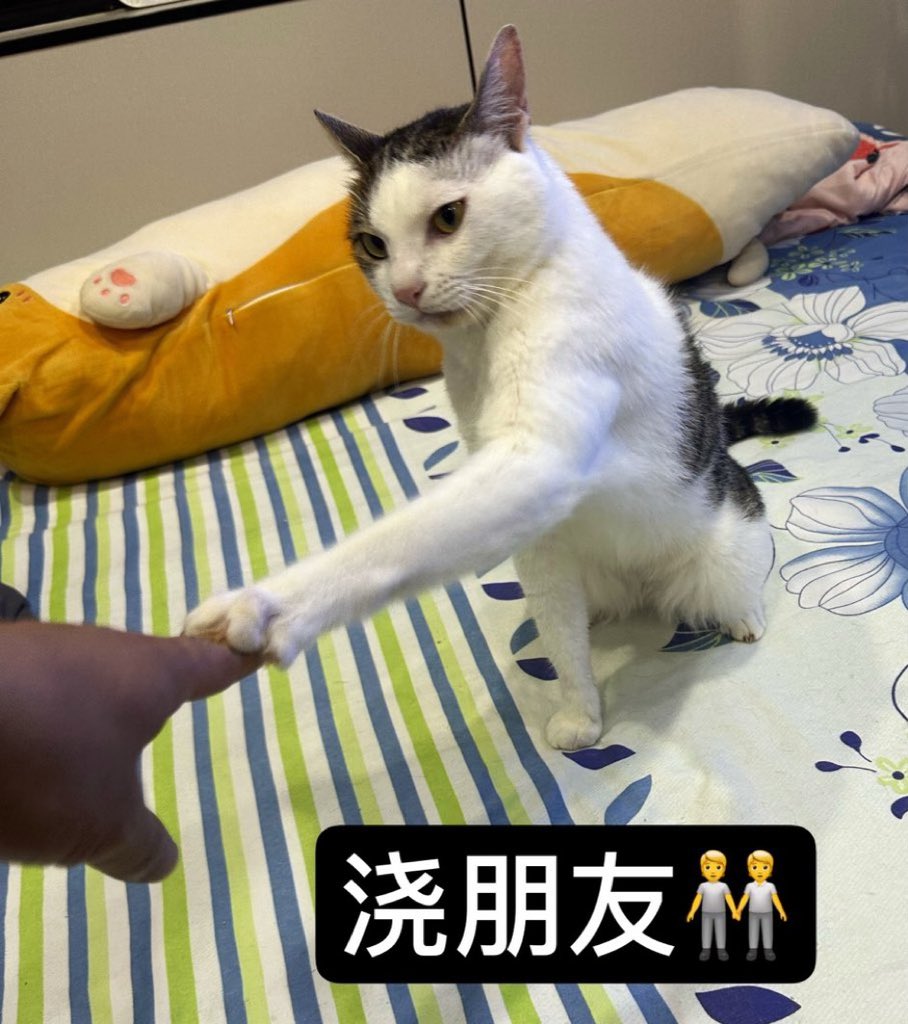 DavidChin0110's tweet photo. @Linzuijia 是的，朋友浇起来！ https://t.co/9mMGWNGAlp