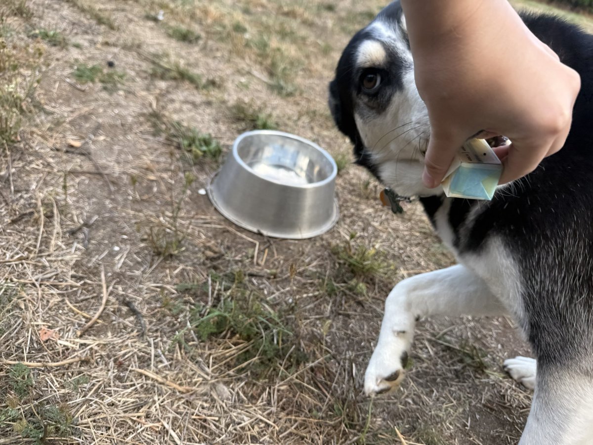 aquasoils's tweet photo. My dog stole my stick of butter and won’t give it back please send help 😭 https://t.co/54TM41Wu0k