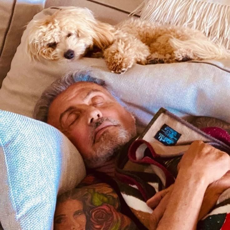 SylvesterSur's tweet photo. sleeping like a baby https://t.co/4JHjtDCke3
