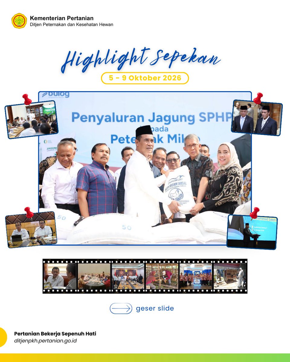 ditjen_pkh's tweet photo. #SobatTernak, simak Highlight Sepekan yang merangkum berbagai kegiatan Direktorat Jenderal Peternakan dan Kesehatan Hewan selama 5 Oktober - 9 Oktober 2026.
Jangan lewatkan informasi, program, dan capaian terbaru lainnya. Ikuti terus akun media sosial Ditjen PKH dan jadilah bagian dari upaya mewujudkan peternakan Indonesia yang semakin maju!
#KementanRI #SwasembadaPangan #CapaianKinerjaKementan