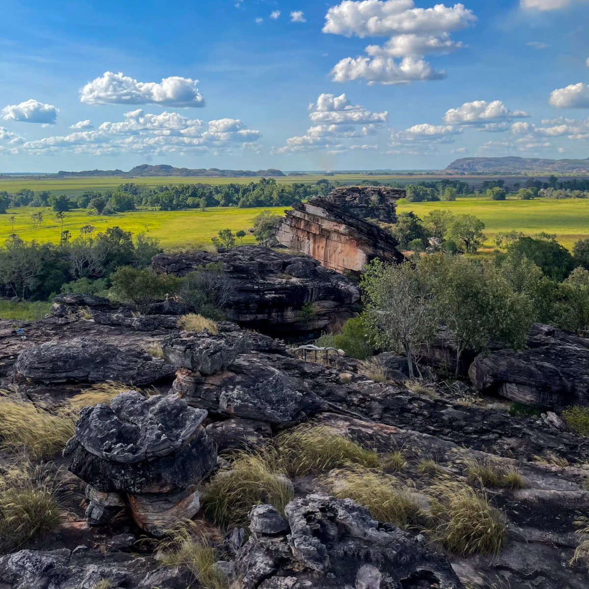 ummutopcu's tweet photo. Adventure in Kakadu: a 6 AM start, lunch in hand, and unforgettable landscapes that reminded me of South Africa. We kept the bus waiting, then got hit by a Ute on the way back. Everyone was fine, but what a story. https://t.co/Yh4xxwRhI5