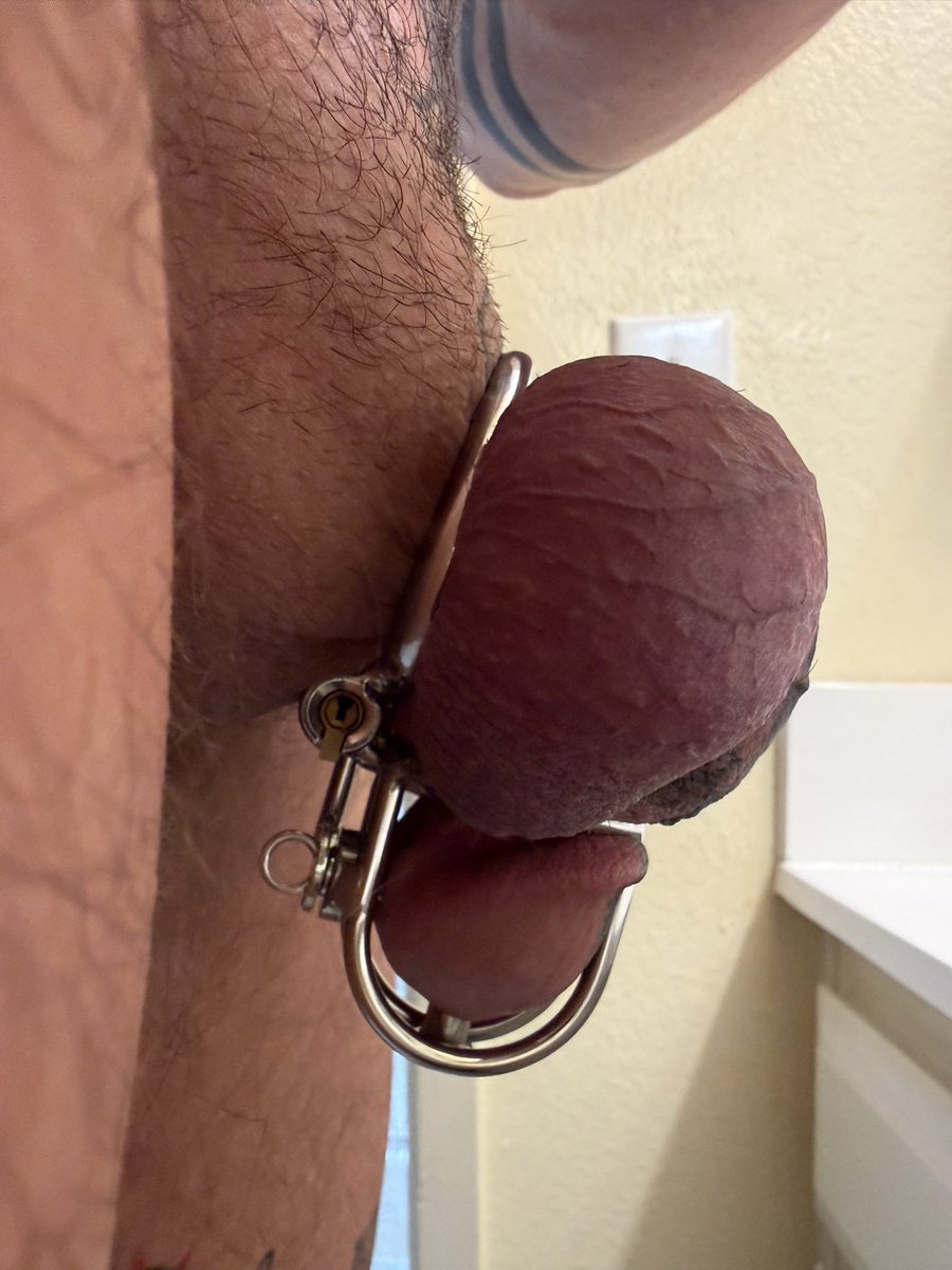 dommingryan's tweet photo. New gear! #Malechastity #gaychastity #teamlocked #tattooedcock #dicktattoo #cocktattoo #inkedcock #inkeddick #princealbert https://t.co/hKz44H0EOw