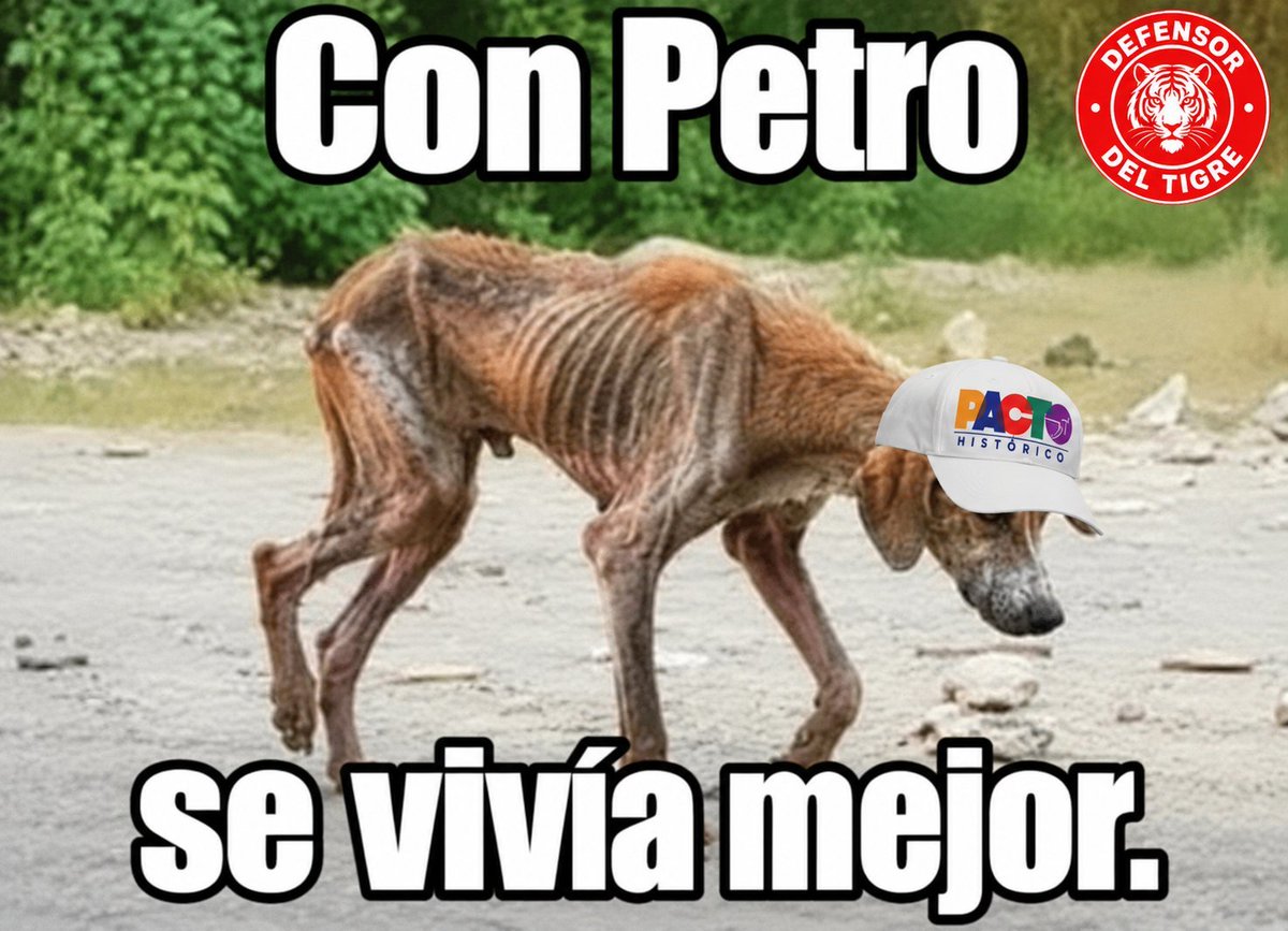 ChannelMorenita's tweet photo. @petrogustavo Entre narcos se entienden! https://t.co/oqmXsvUyhR