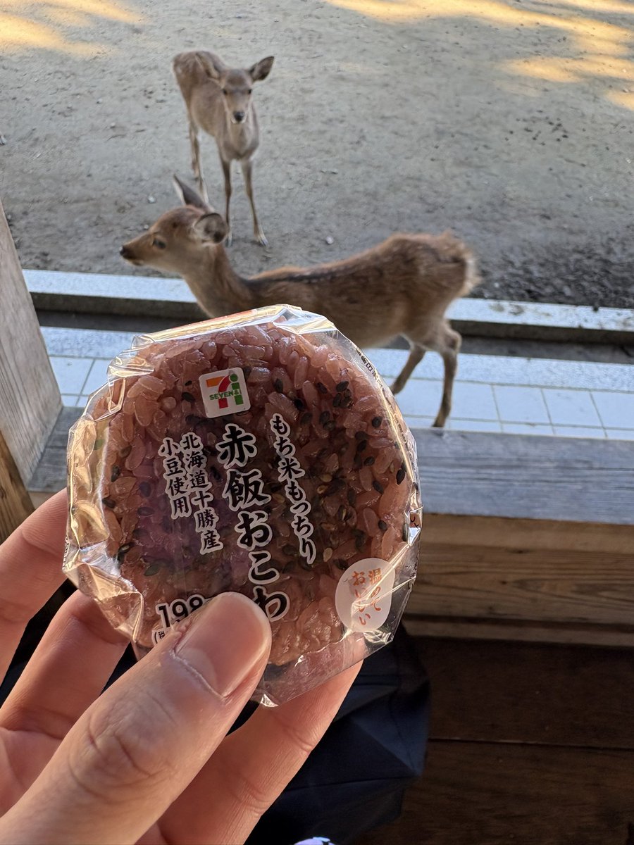TakuzoZTMY's tweet photo. 一旦奈良公園 https://t.co/OYf9ZUVQ9x