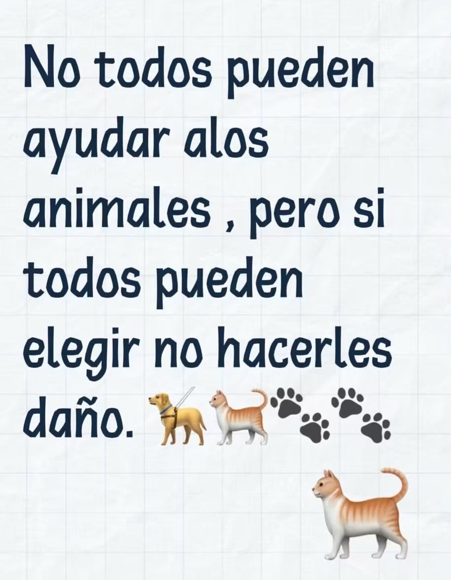 Sabueson's tweet photo. https://t.co/fCR8ENjo5o