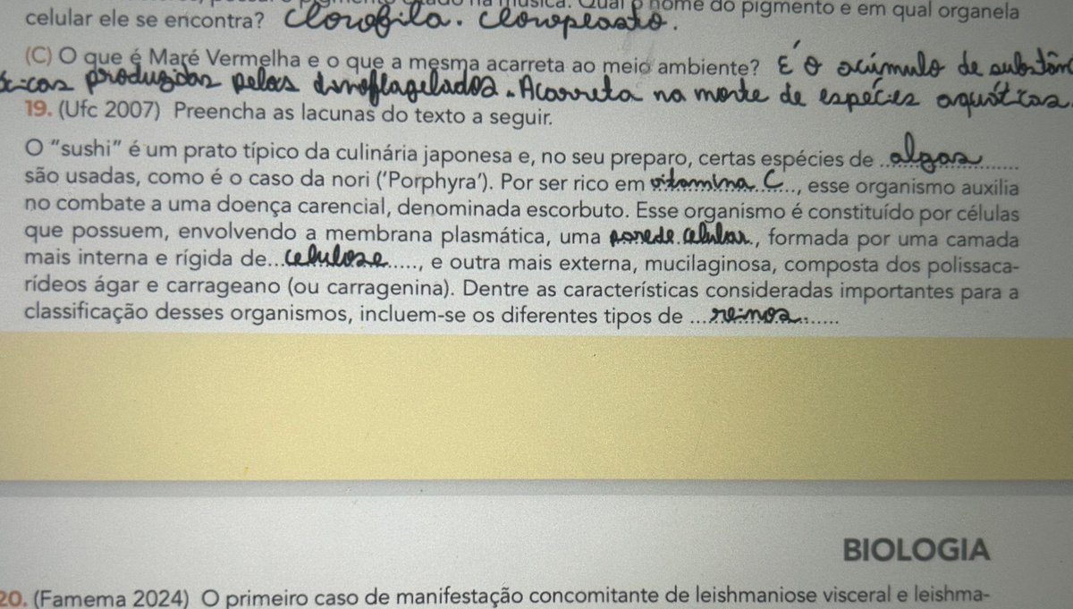 felipaoooooo1's tweet photo. Dia da questão maluca https://t.co/gtbcSPInp4