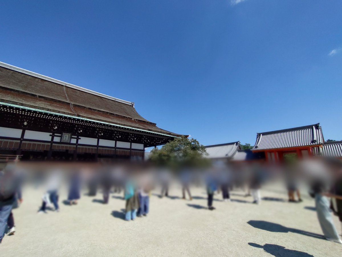 maya24123's tweet photo. 昨日のメインは御所でした。
連休は人出が凄いだろうなあ（昨日は紫宸殿前で4枚目くらいのゆとり） https://t.co/sUWuWJsU1S