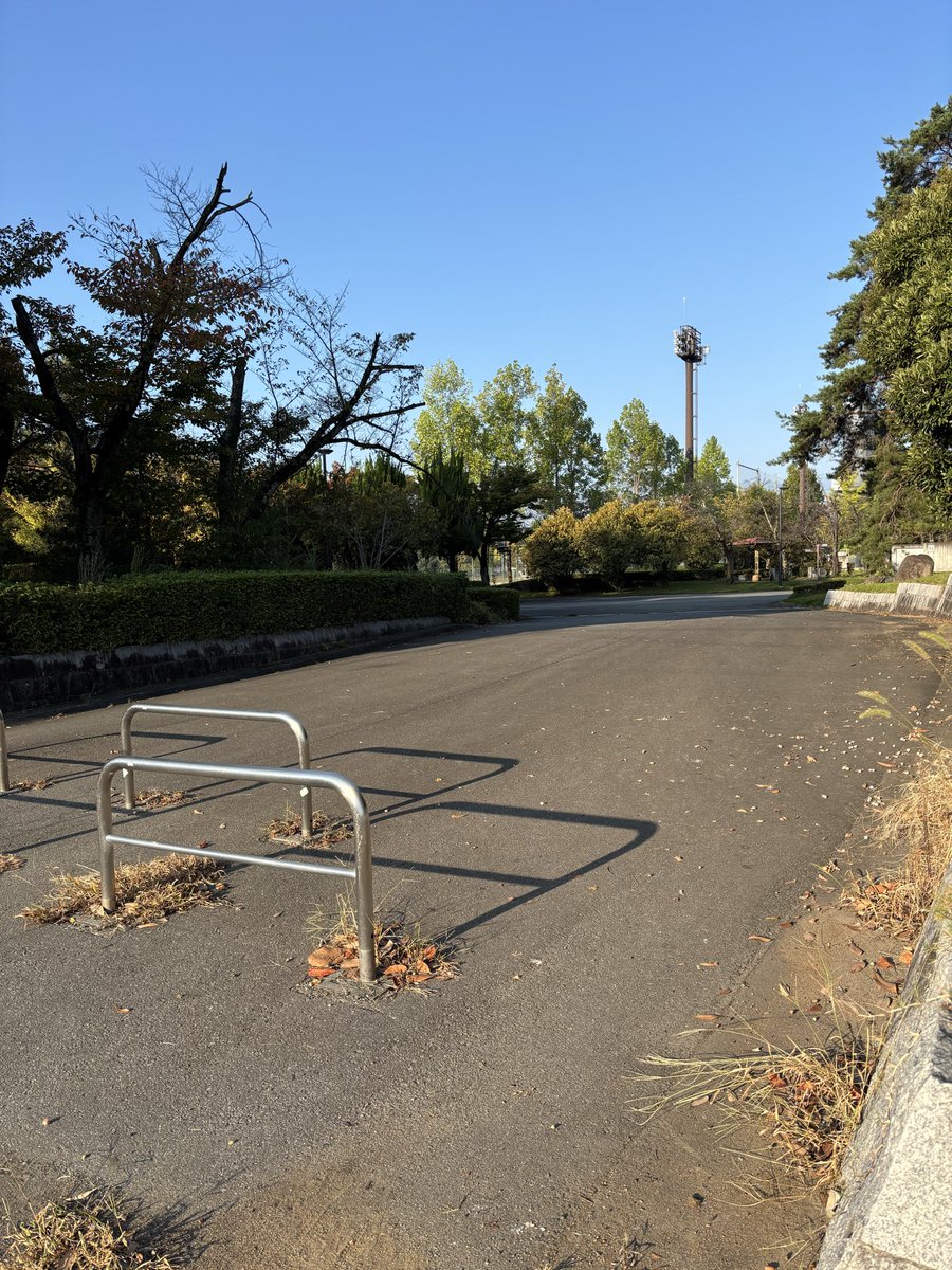 oton_chan's tweet photo. 栃木シティサポさんくる前にゴミ拾い🗑️

ビジター側待機列、バス入口付近キレイになりました！
ご安全にお越しください☺️

もう下はいない
あとは上がるだけ
走って走って走って走りまくろう❗️

【小瀬イリュージョン】
本日は #井上樹 ユニ🔵🔴

#vfk
#イマコセ
#栃木シティ
#栃木派甲府遠征 https://t.co/ch3SC7ane8