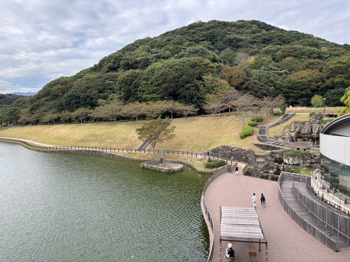 chuoh_park's tweet photo. おはようございます🌥️

今日から3連休！朝のラジオ体操にも沢山の方がご参加くださいました✨

少しずつ葉も色づき秋の景色になってきた中央公園。のんびりお散歩したり、体を動かしたり、身近な自然の中で小さな発見を楽しんだり🦗気持ちのいい休日をお過ごしください🍁🦆 https://t.co/O2E2vvMnUF