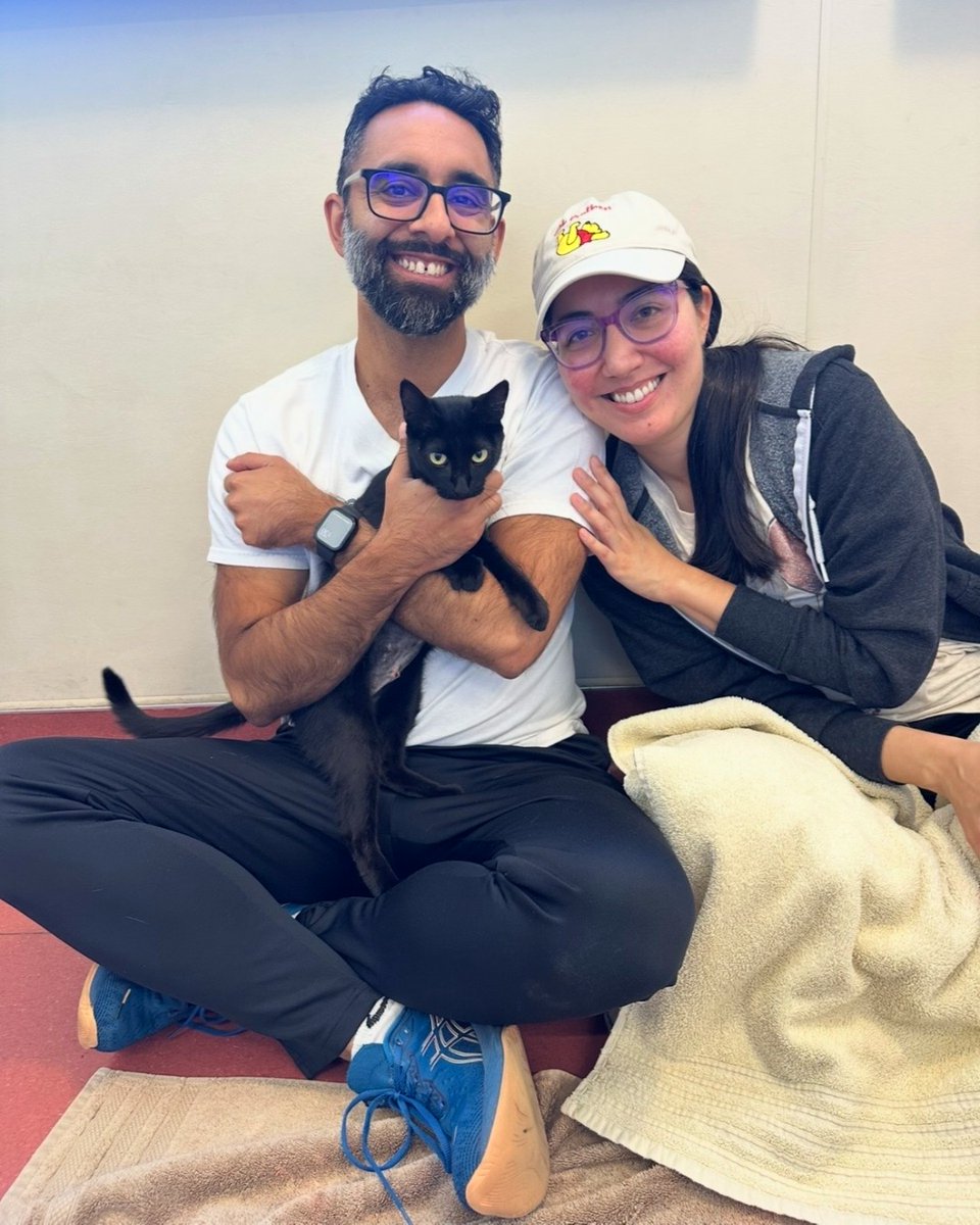 PeninsulaHumane's tweet photo. Ursula understood the assignment.😇 She truly impressed her #fureverfamily with her adorable charm. Happy tails!

#adopted #adoptdontshop #phsspca https://t.co/ZucaHfIBXc