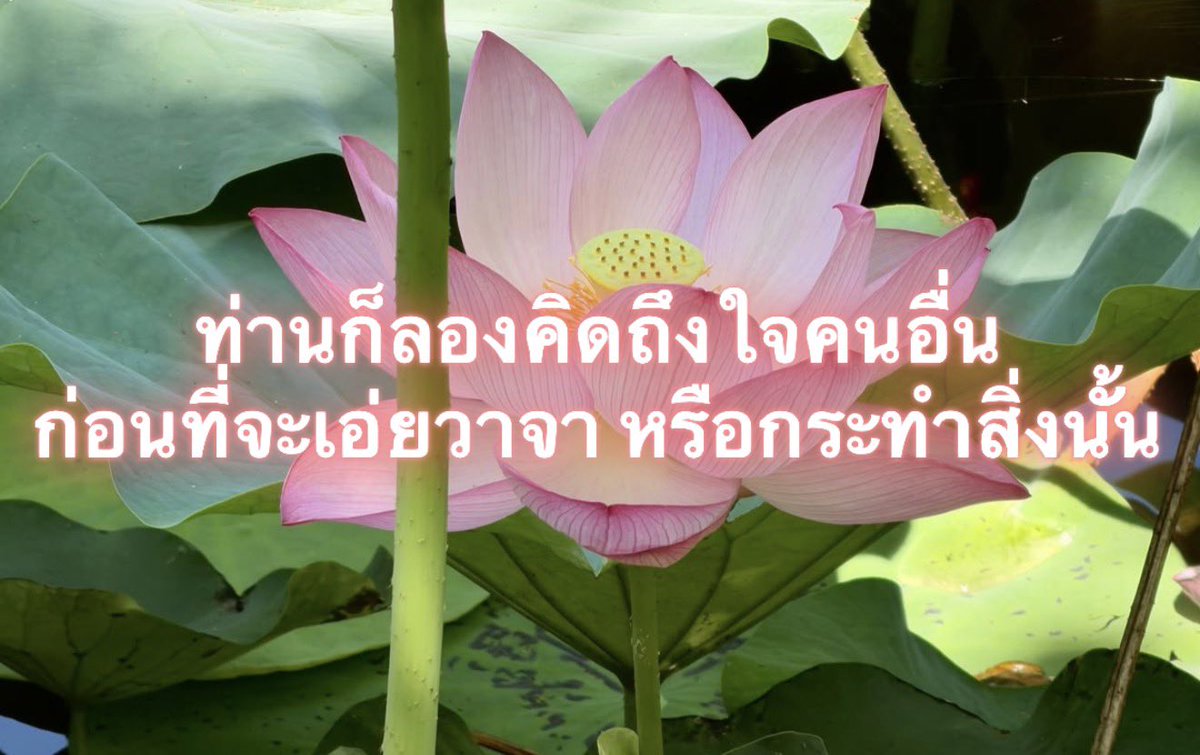 Iaunza's tweet photo. คิดถึงใจกันหน่อย https://t.co/ldTNZrDR3L