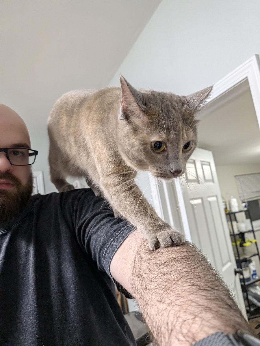 ComeAdventurer's tweet photo. She's coming to get you https://t.co/0Q8yeJYTMW