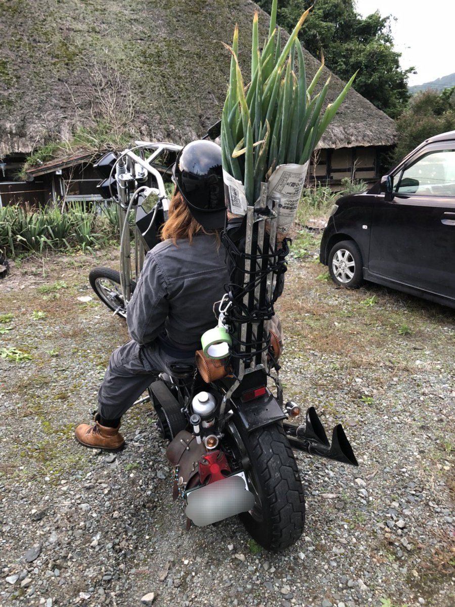 79FXEX_HD's tweet photo. 親戚の稲刈り手伝いに行ったら帰りに突然｢持っていけ｣と言われたパターンです。
ねぎ靡かせて帰宅しました。 https://t.co/NGiCXo7nPA