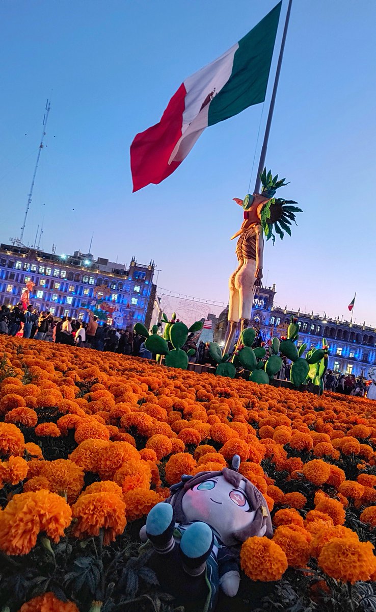 i_nefely's tweet photo. Ya va a pasar un año de estás fotos. Que linda se ve la Meicaluche. 🥹
✨🌼🏵️ https://t.co/HXsQlTTPns
