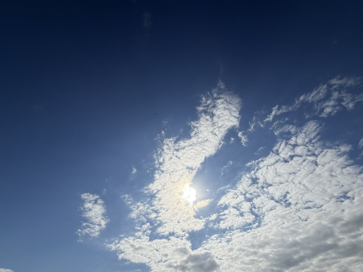 RsmileTea's tweet photo. 一昨日☀️昨日☀️今日☀️

青空嬉しいー🙌 https://t.co/aZ78UKah4p