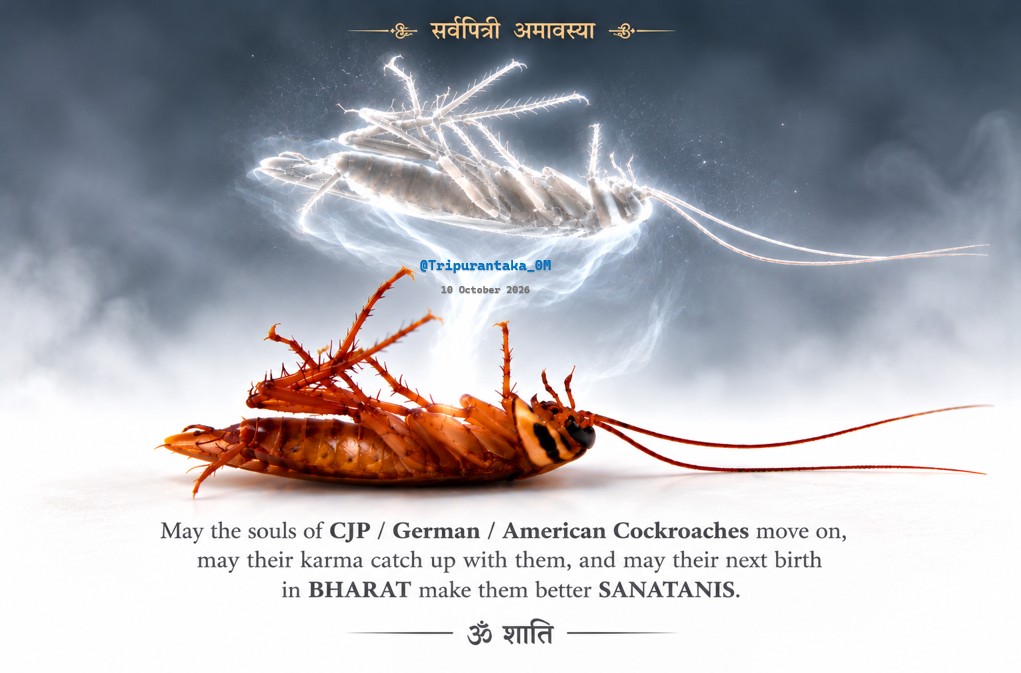 Tripurantaka_0M's tweet photo. Trump, Elon, Deepstate, Khujliwal, Vatican, Vance, Pakistan ISI, Kangloos, INC and their illegitimate sperms- #Dipke, #SANDAS #sauravdas #raga #dhruv_tutti  @prakashraaj messed with wrong Nationalists‼️#justsaying https://t.co/dGTukzQLbC