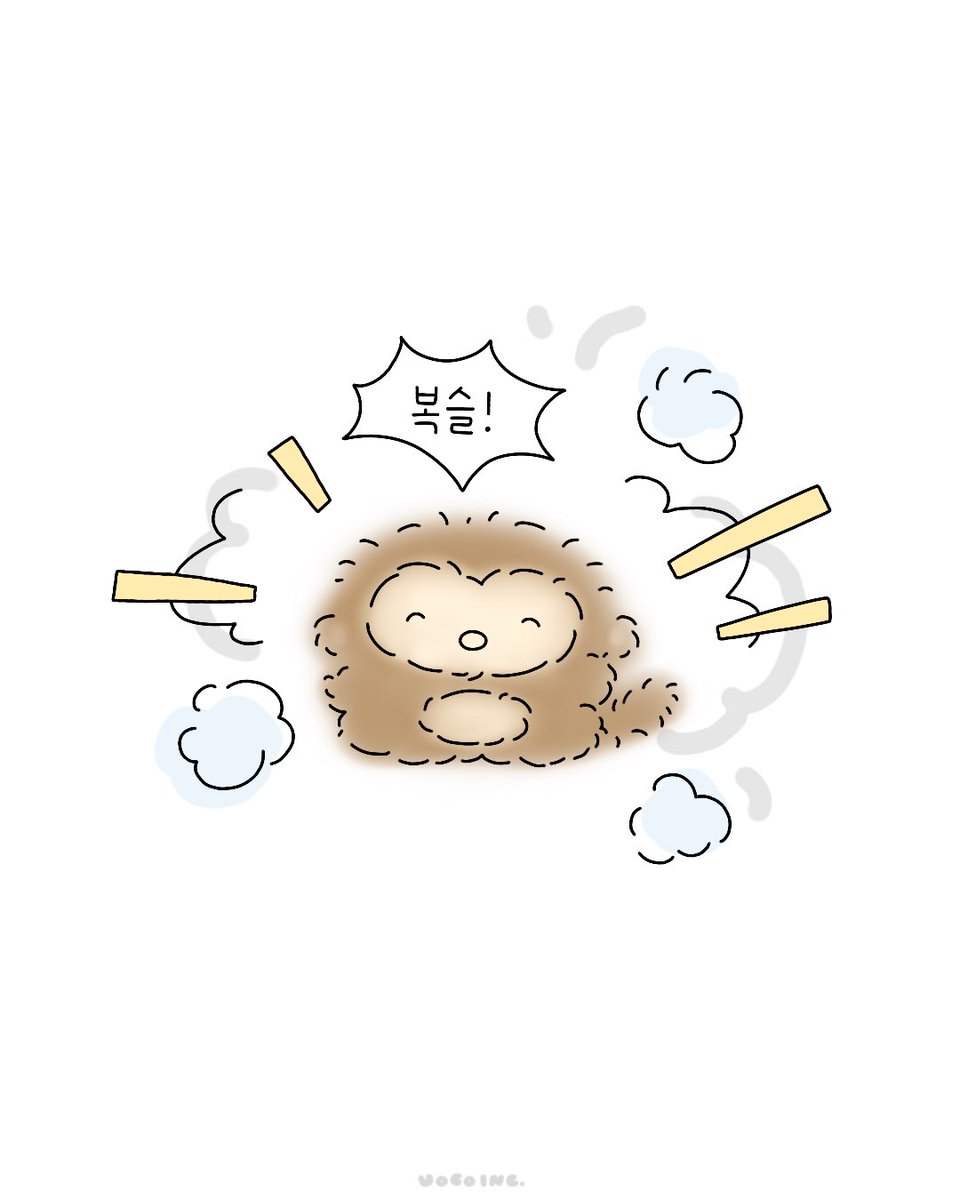 iambearmuu's tweet photo. 나 추워서 갑자기 털쪘어 𐦯꒱𐦯꒱ https://t.co/8tmTXkJNuD