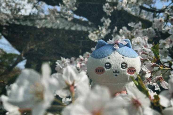 OomfieLoomfie's tweet photo. https://t.co/K8xgS3rMTC