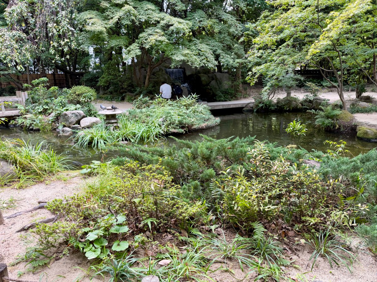 rontec_'s tweet photo. 楽水園めっちゃええやん。鯉の餌やり楽しすぎて、お代わりして2つ買ったわ https://t.co/7bHO5uZWKG