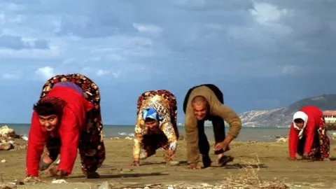 SakiUone's tweet photo. @mehmet_dilbaz Hey Mehmet 👋 
No evolution for you at all. 
Still walking on all fours, and your brain is in your ass. https://t.co/WjYI24kOqA
