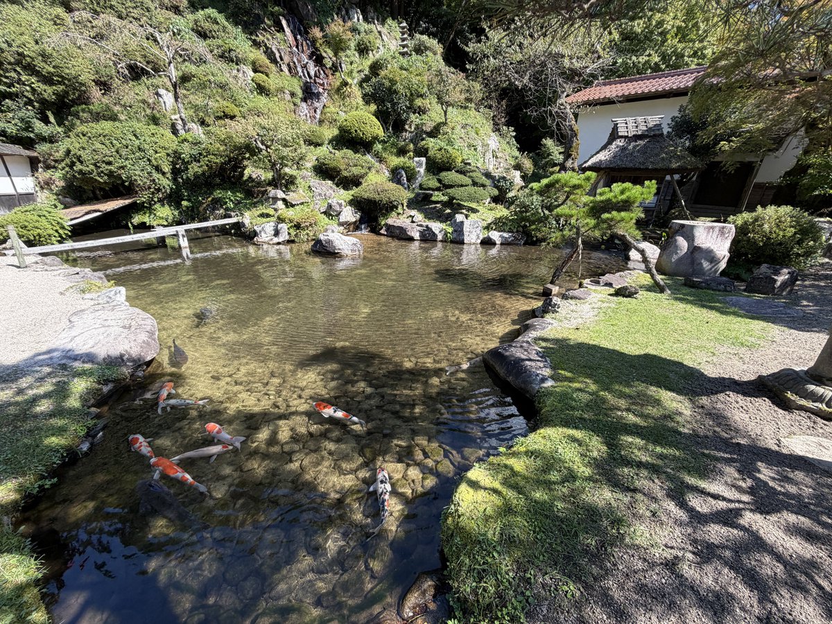 hechibouzu's tweet photo. 櫻井家庭園（国指定名勝） https://t.co/LWoFMU9Bbi