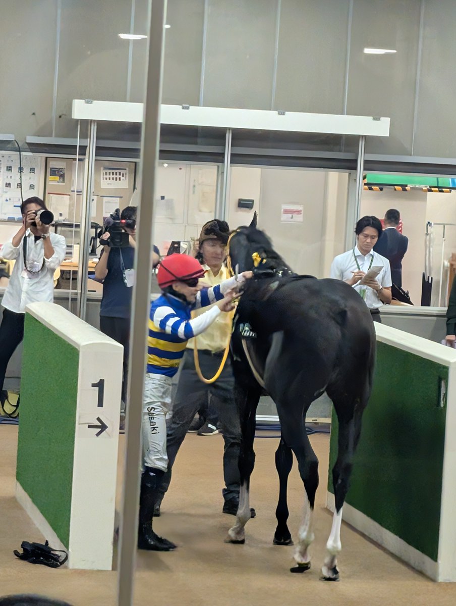Flowermameko's tweet photo. 東京9レース
ノラリクラリ号
佐々木大輔騎手 
おめでとうございます㊗️
 #東京競馬場 https://t.co/yhPITZoaWy