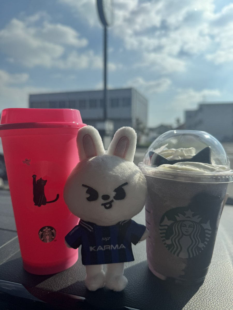Sayunikv6's tweet photo. ヨーグルト味大好きだから速攻🥤🚗
ネコに負けて吸い込まれるようにタンブラーも購入🫶 https://t.co/TVhAULtIBH