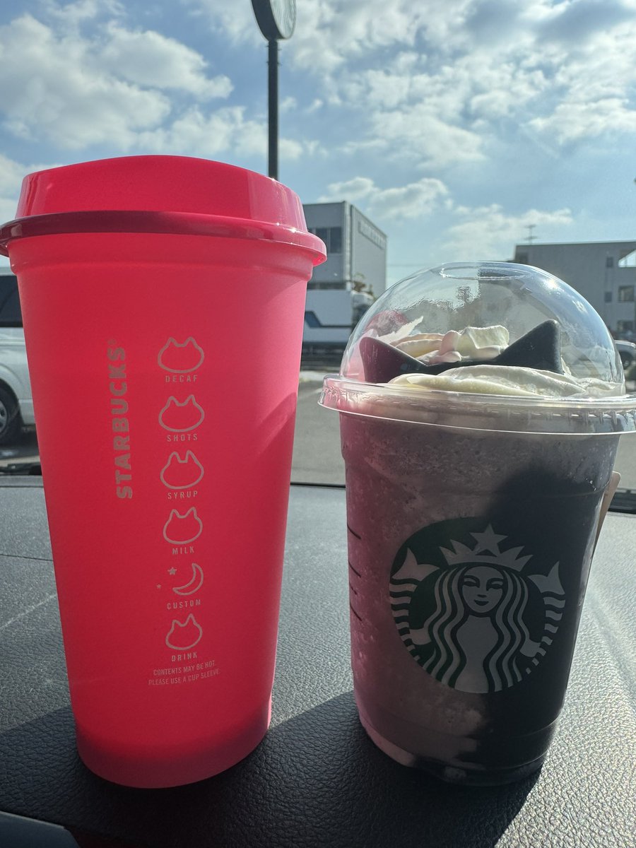 Sayunikv6's tweet photo. ヨーグルト味大好きだから速攻🥤🚗
ネコに負けて吸い込まれるようにタンブラーも購入🫶 https://t.co/TVhAULtIBH