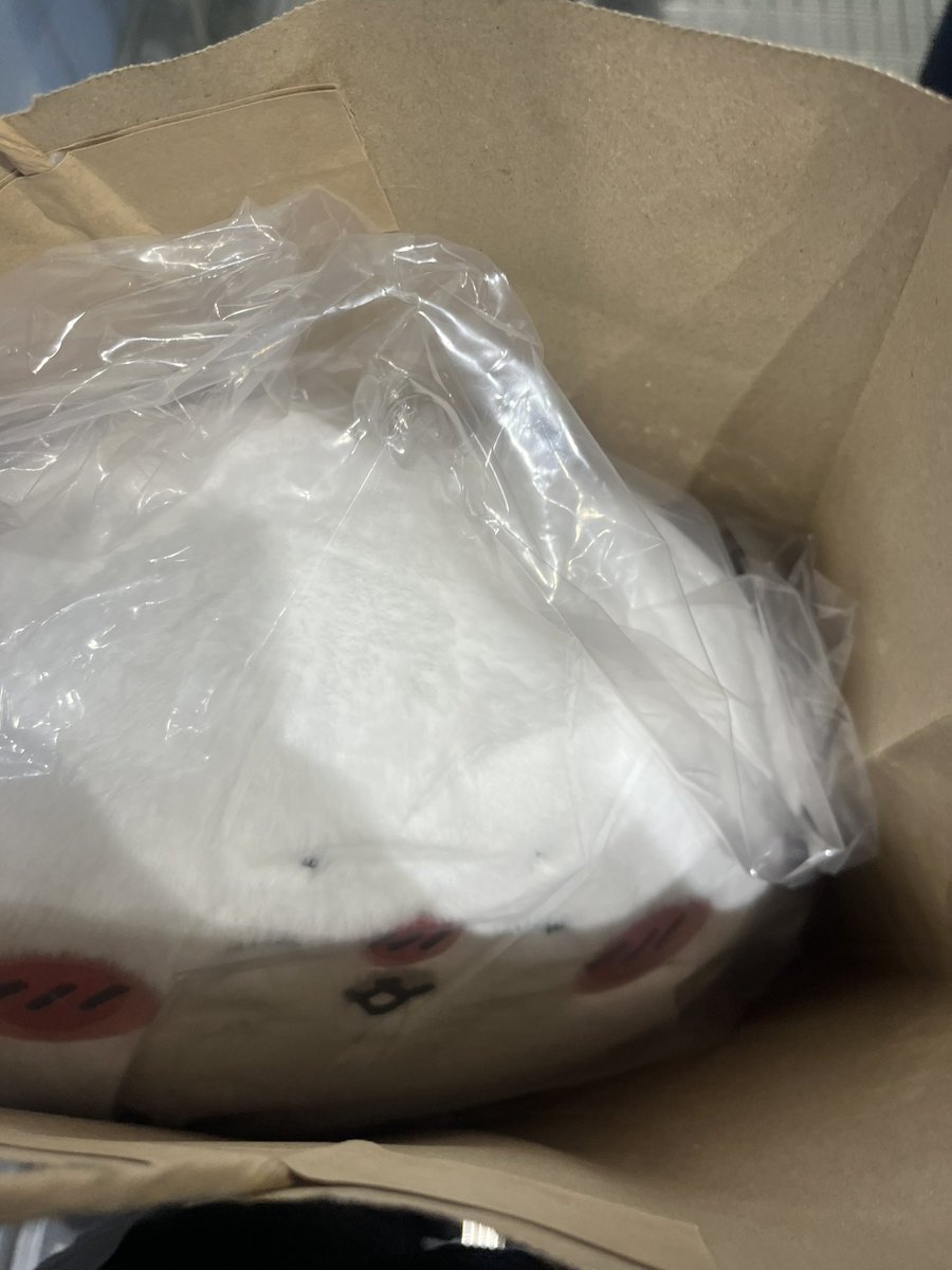 4_pudding_3kn's tweet photo. らんどハズレたし、整理券取れねーし！！！でナガマ頑張って昨日整理券取ったので、腹いせにふわずちアザラシ🦭買った！！！
わーい！！！でかい！！！
ナガマは非常に平和でした！！！
ほんとにちい活疲れちゃってもうヤダーッ！なので、代わりにアザラシよっ。
あっ、言っとくけどアザラシ大好き！ https://t.co/PGGrITfo4q