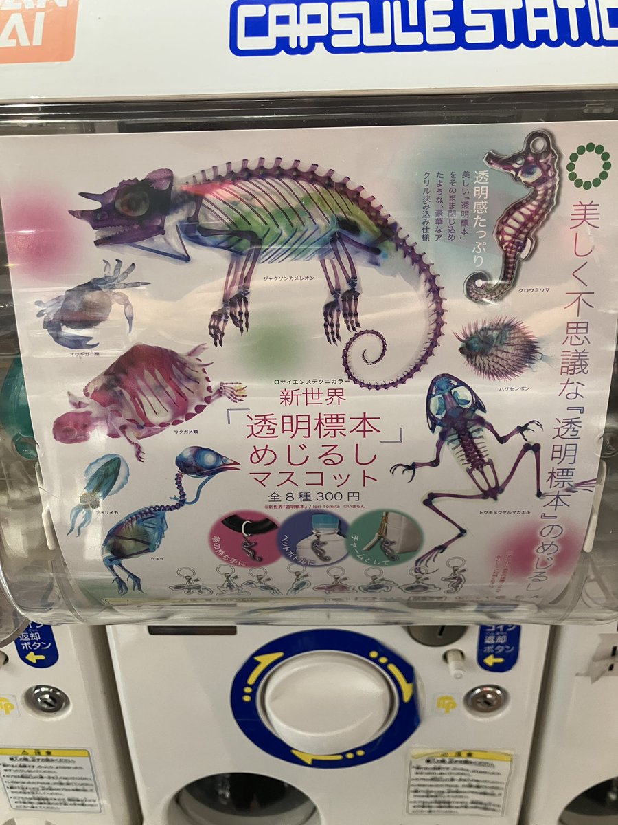ガシャポンのデパートなんばパークス店の入荷情報の写真