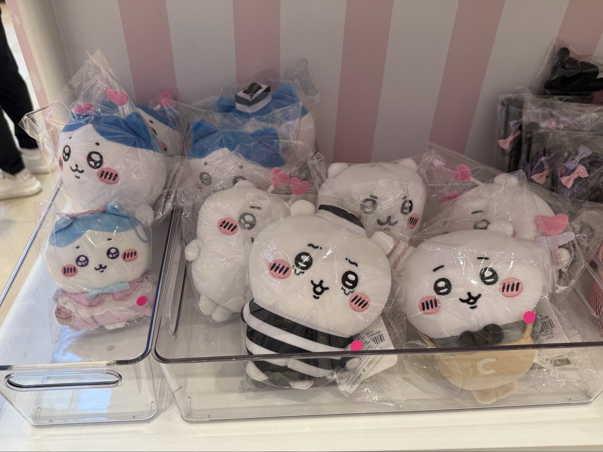 enxp_m's tweet photo. 소품샵 팝업에서 치이카와 자만추 https://t.co/tDi5pLVjcH
