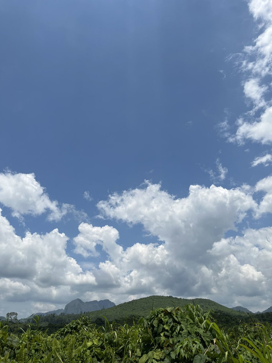 skylarkism's tweet photo. Langit kalimantan sebelum kebakaran hutan 😔 https://t.co/REshQm59Zg