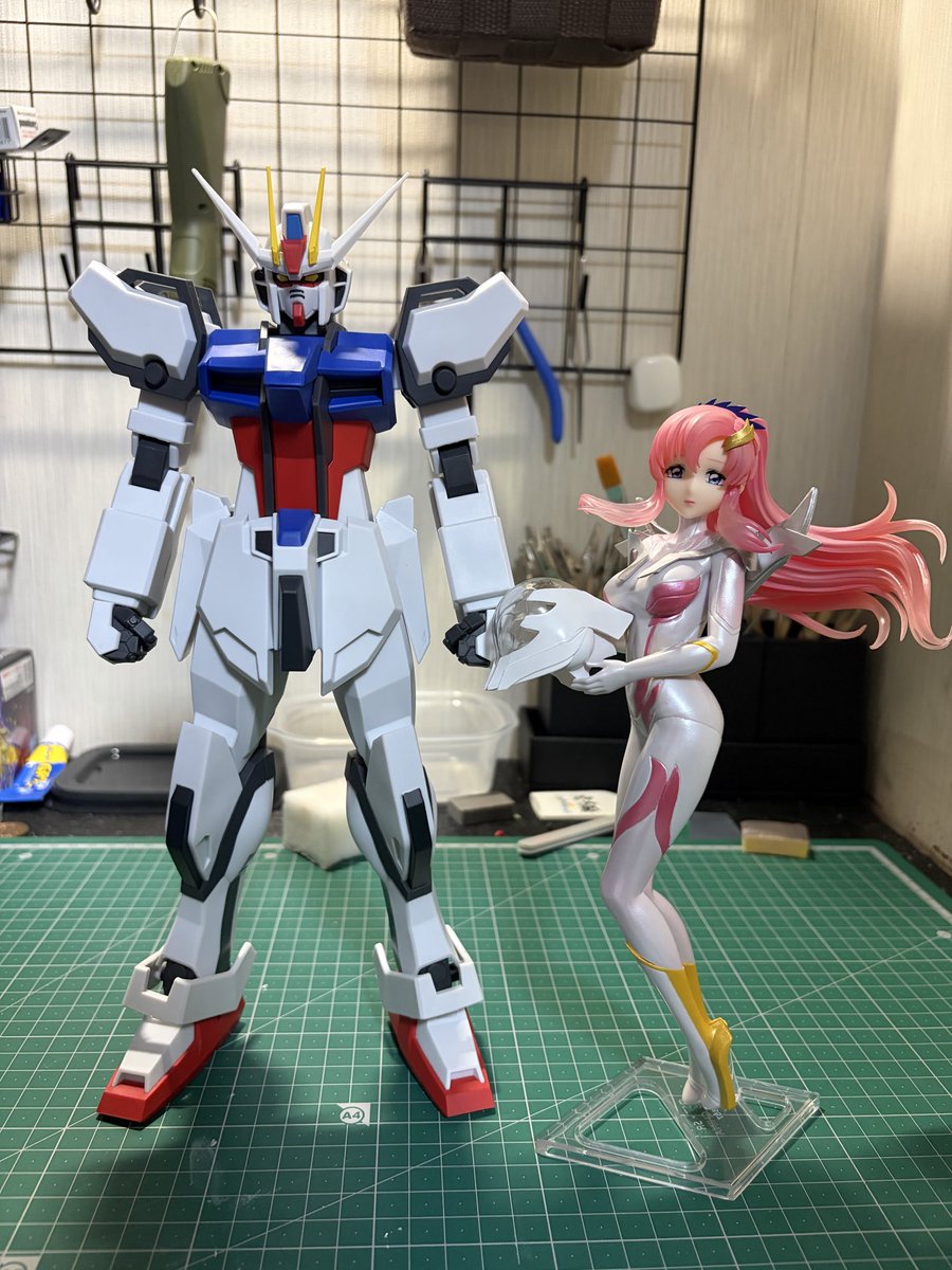 Gunpla_FF14's tweet photo. ゲームセンターでSeedのクレーンゲームがあったから取ってみた
4000円ぐらいかかちゃったけどかっこいいし、可愛いから満足😍 https://t.co/6AsMVrD5V8