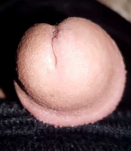 Zobe18cm's tweet photo. @xnxx_porn1991 https://t.co/zGQC28cecI