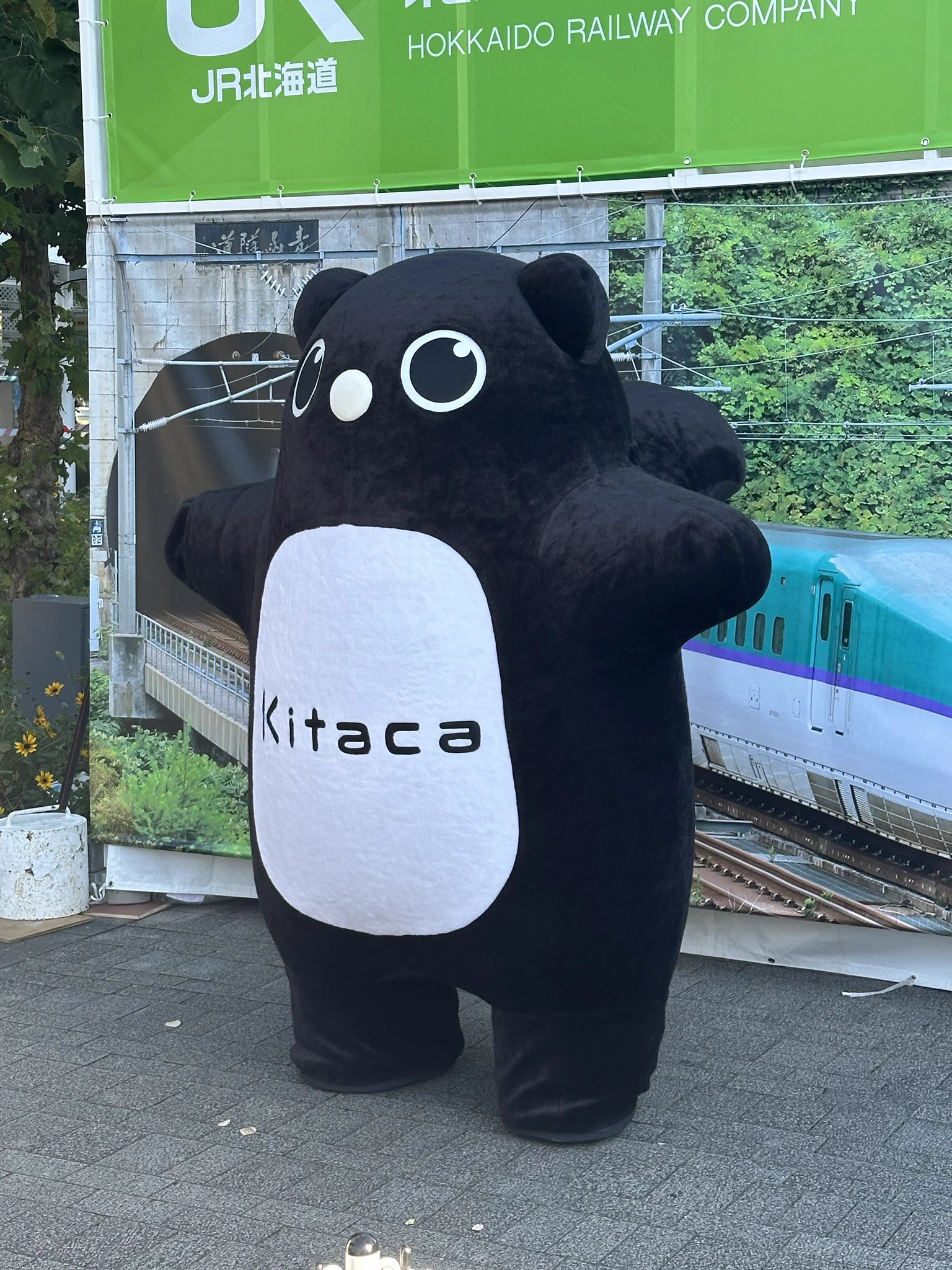 Kitacaのエゾモモンガが帰っていくシーンです / X